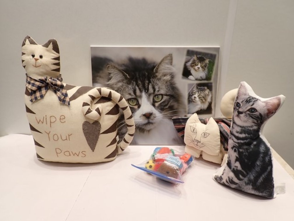 Kitty Cat Collection