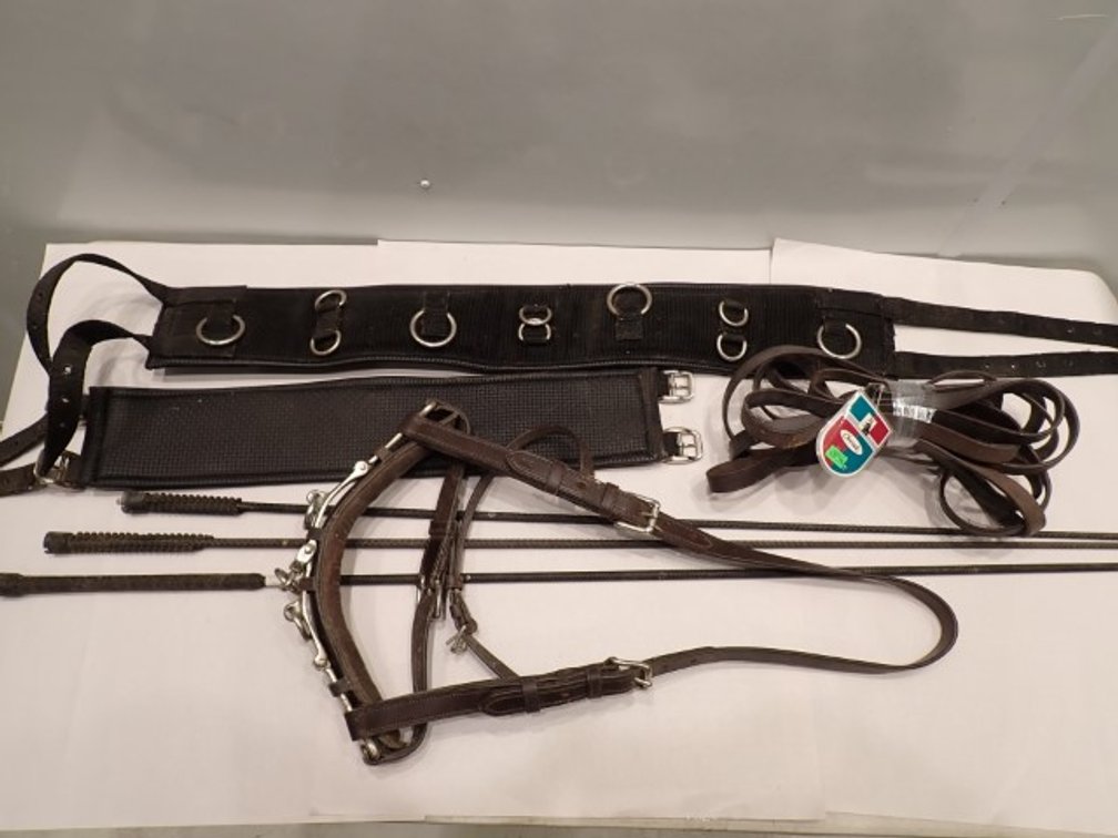 Equine Lunging/Long-Lining Equipment