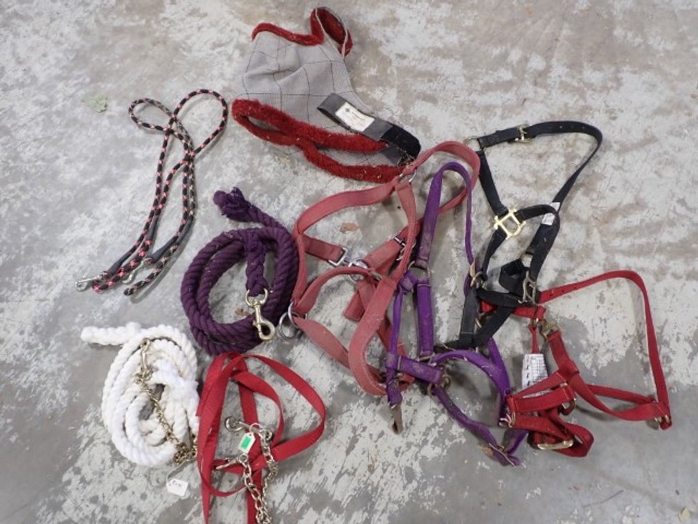 Nylon Halters & Lead Line Collection