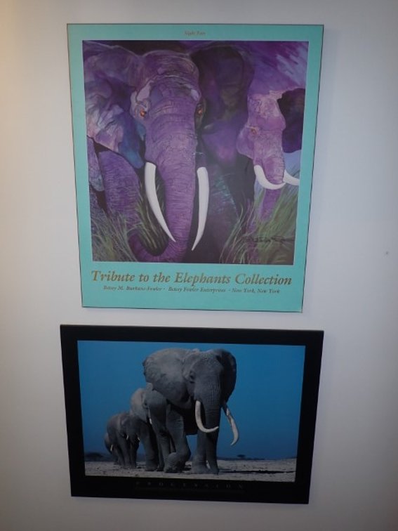 Elephant Prints