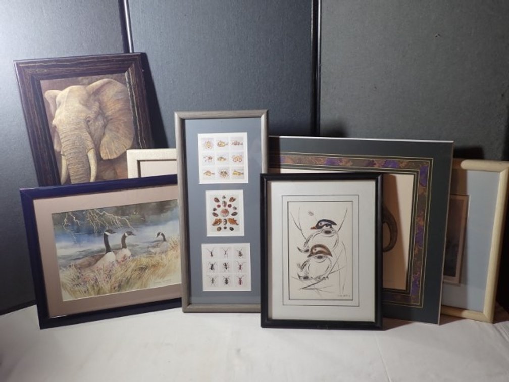 Animal Kingdom Prints