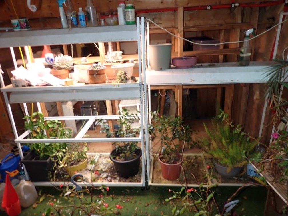 Two Grow Shelves