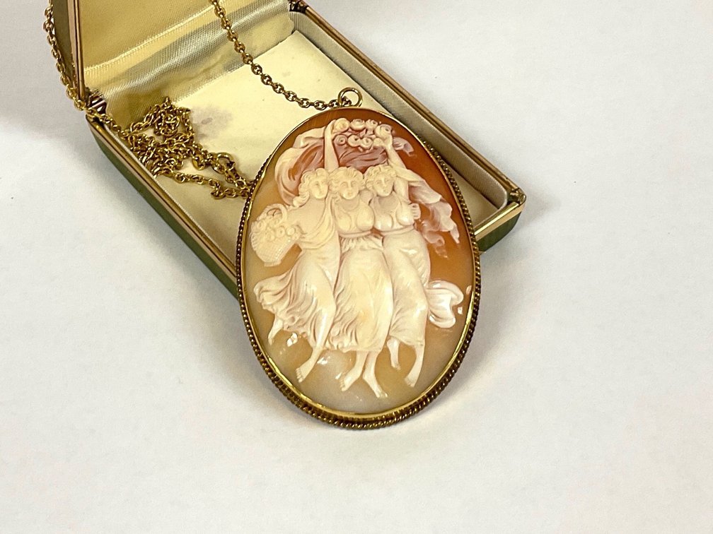 Rare Vintage Cameo Pendant/Brooch on Chain