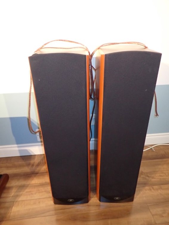 Paradigm Reference Tower Speakers