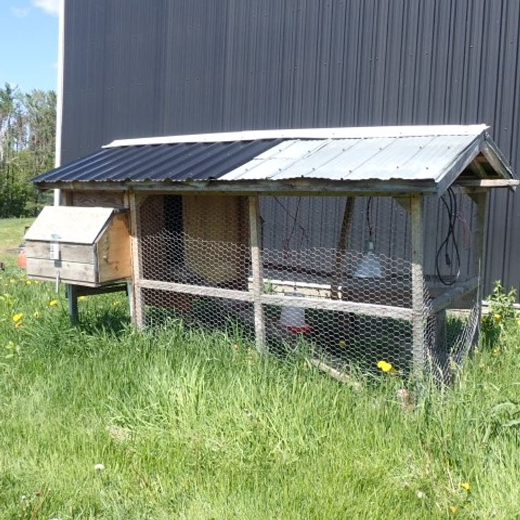 Natural Outdoor Chicken Coup