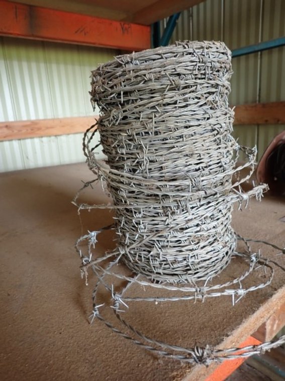 Galvanized Barbed Wire