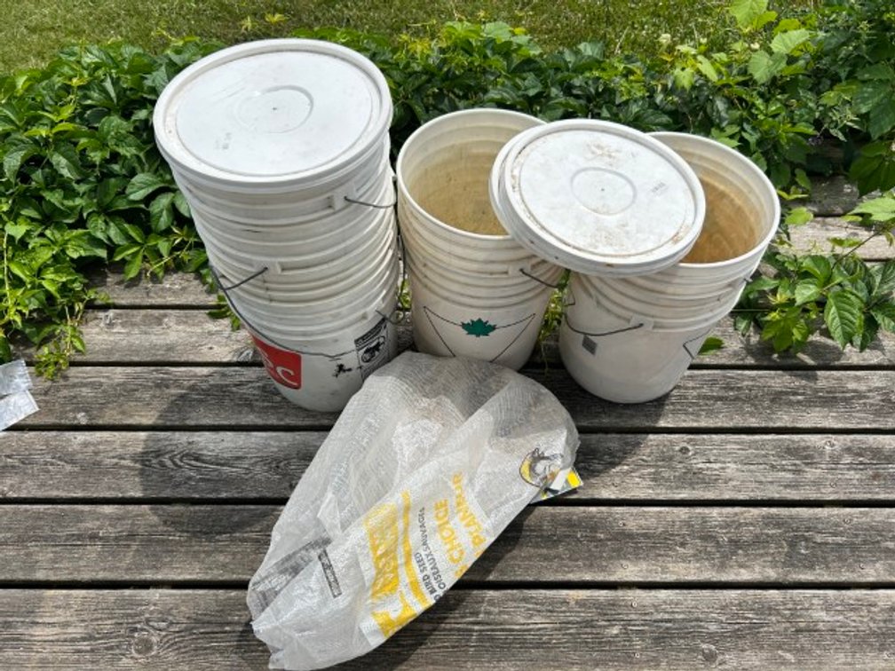 Bird Seed + White Pails