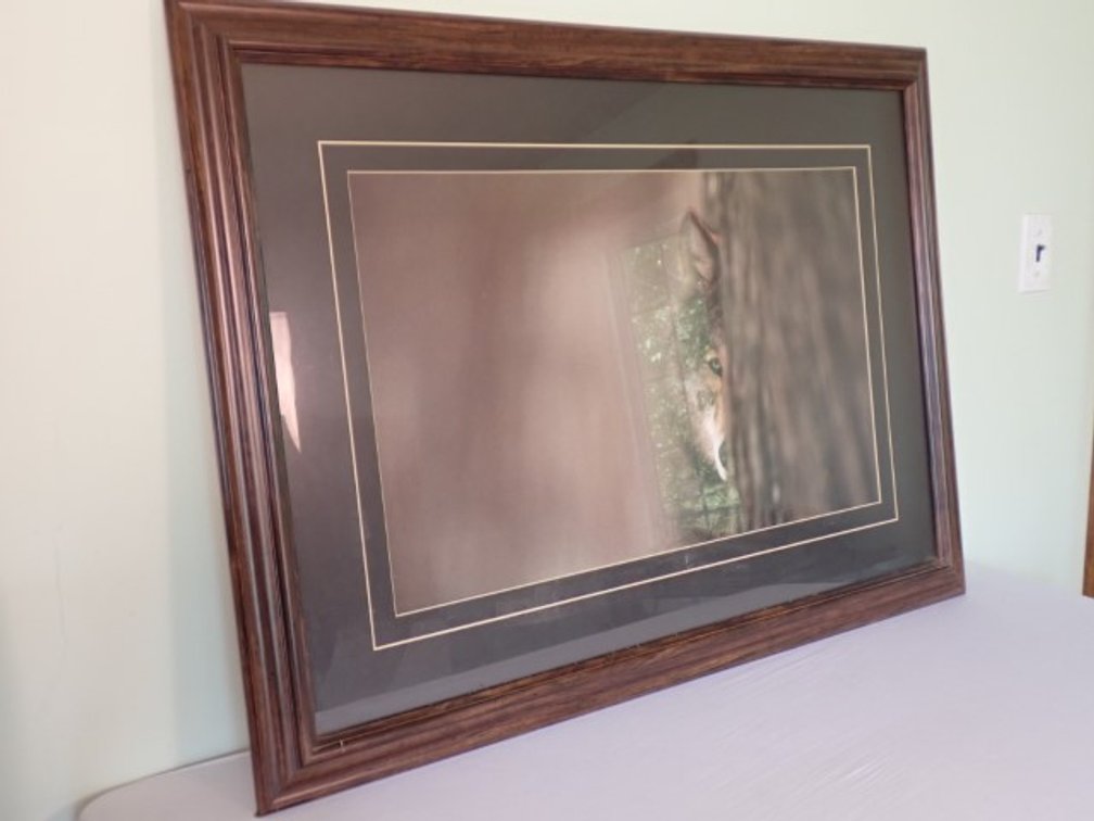 Large Wildlife Wall Art
