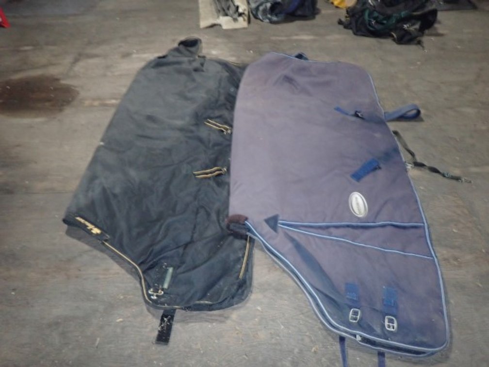 Bucas & Shedrow Horse Blankets