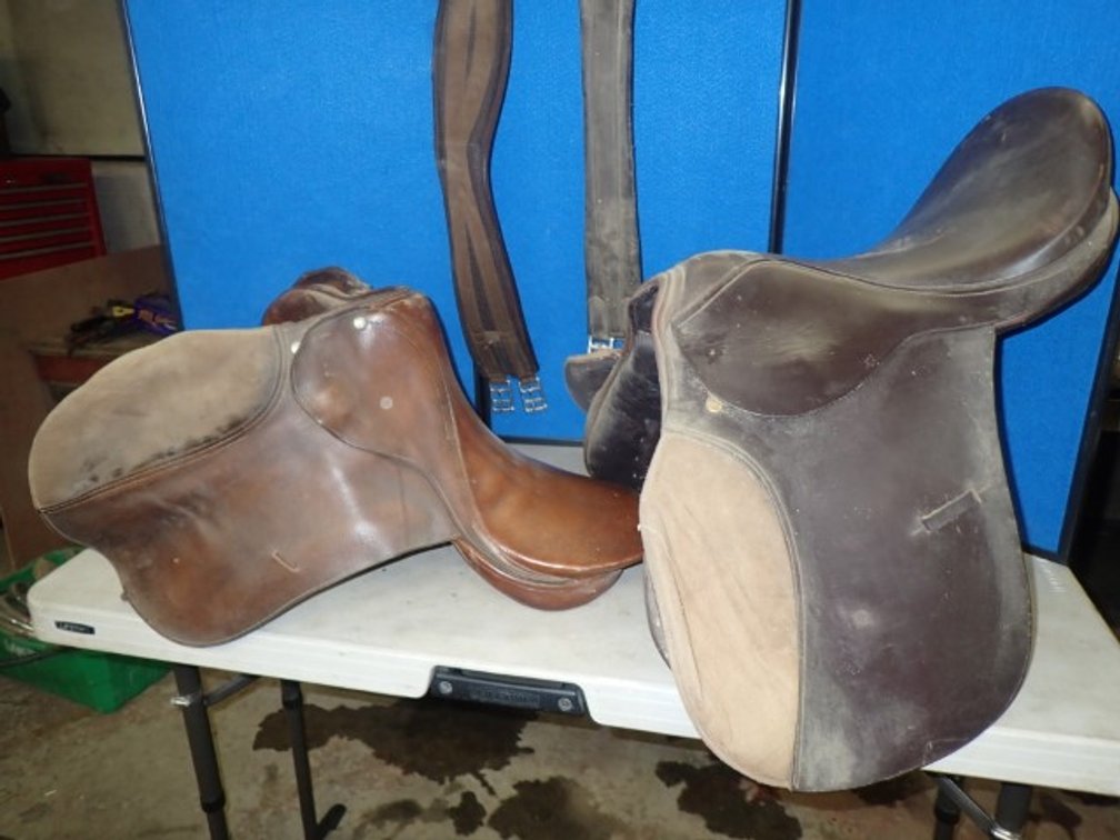 Griffith English Leather Saddle +
