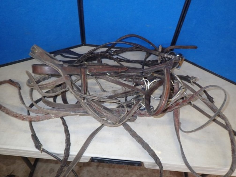 English Leather Horse Bridles