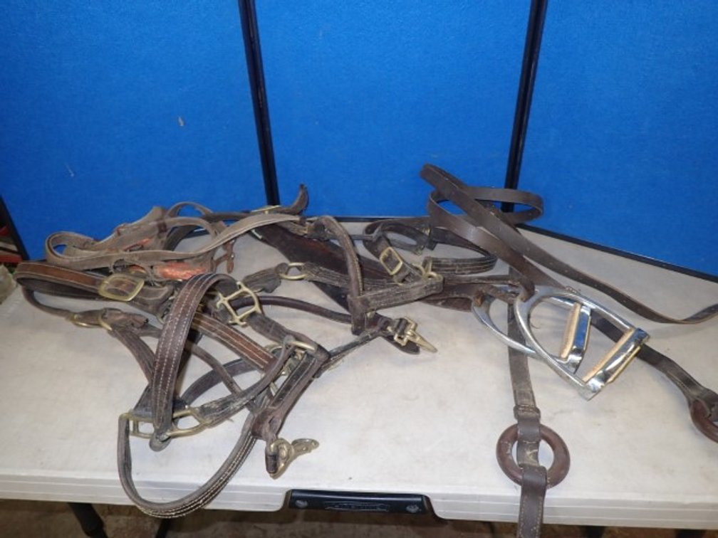 Collection of Horse Leather Halters, Side Reins & Stirrup Leathers with Stirrups