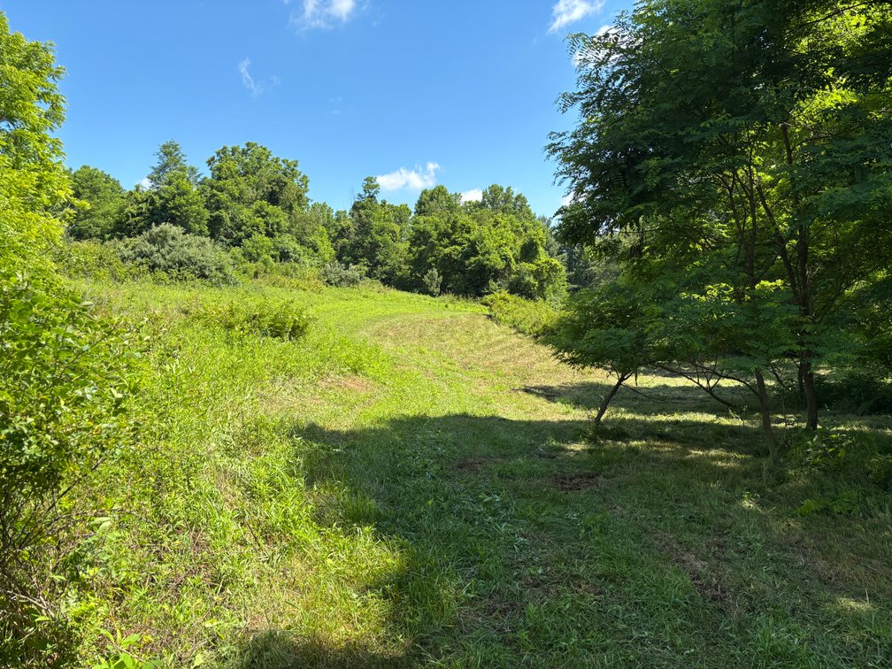 Image for Auction Sat. June 27th @ 10 A.M. Widener Valley Rd Glade Spring, VA