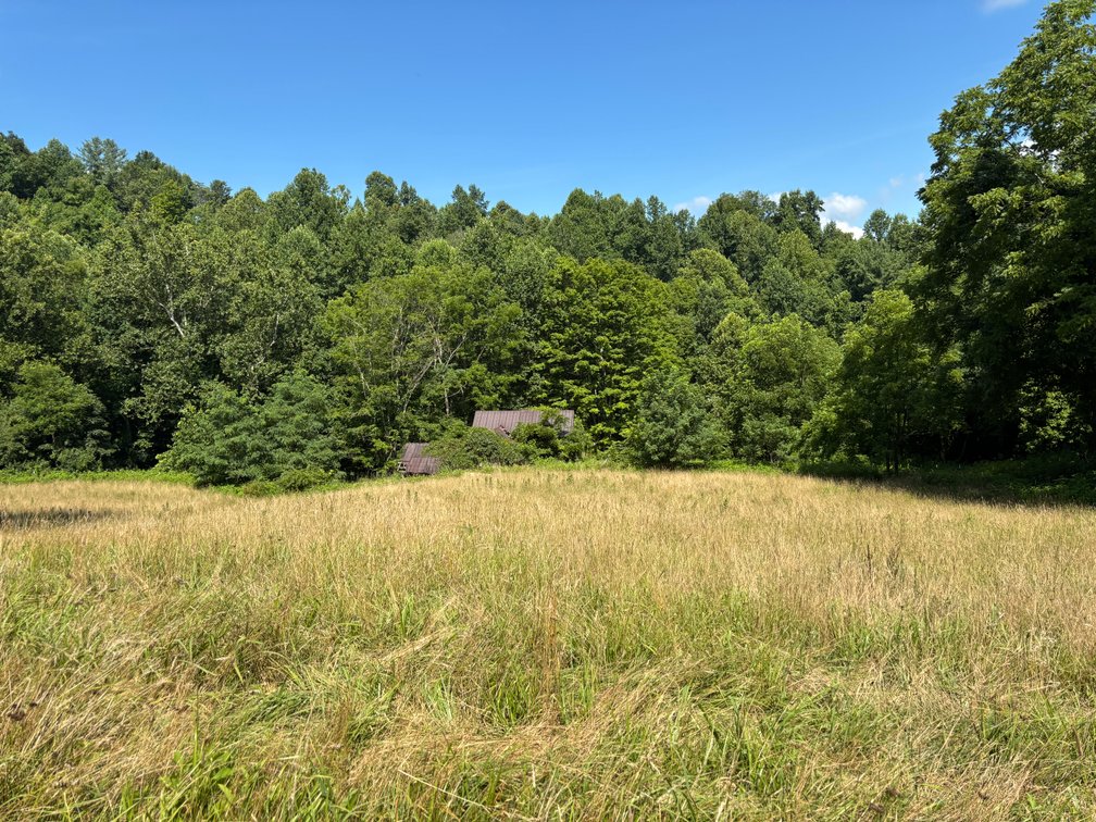 Image for Oscar E. Tate * Auction Sat. July 25 @ 10 A.M. * 17369 Buffalo Pond Rd. Bristol, VA