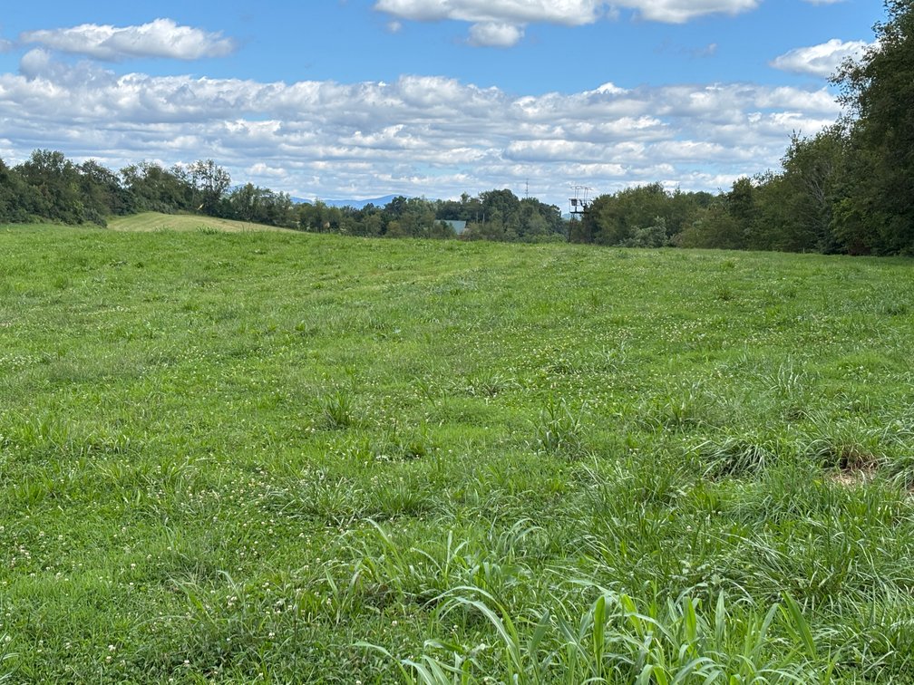 Image for Millsap Auction Sept. 20 @ 10 AM * TBD: Harrison Rd. Abingdon, VA