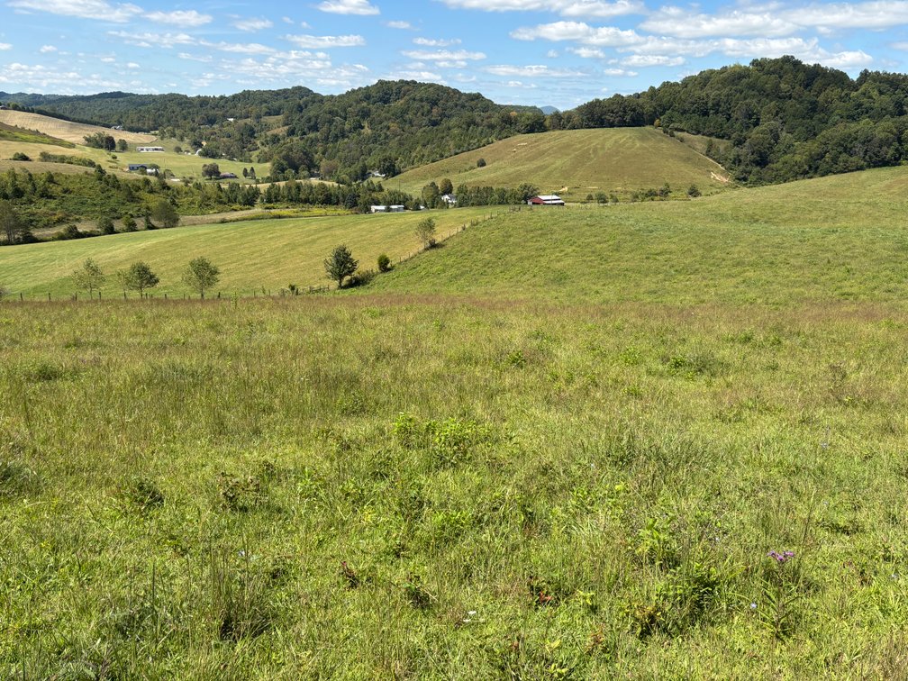 Image for McCroskey Auction Sat. Oct. 25 @ 10 A.M. 15058 Rich Valley Rd. Abingdon, VA. 24210