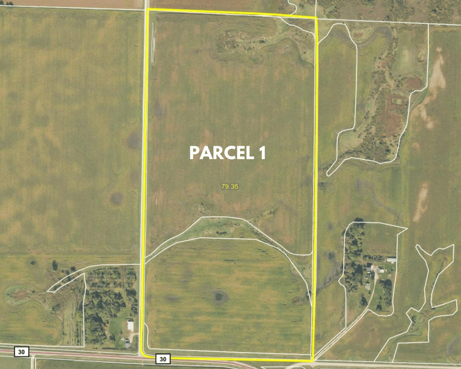 Parcel 1 - 79.35 Surveyed Acres, 71.87± Tillable Acres (FSA), the E1/2 of the SE1/4 of Section 4 in Leven Twp, Pope Co.