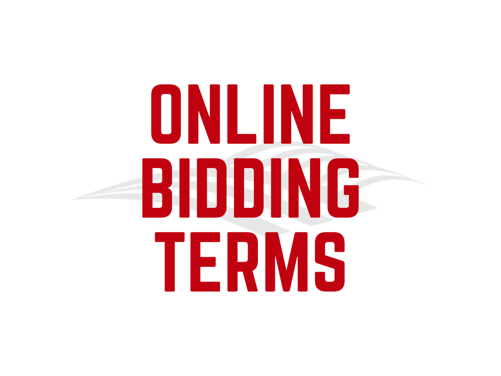 Online Bidding Terms | Romo