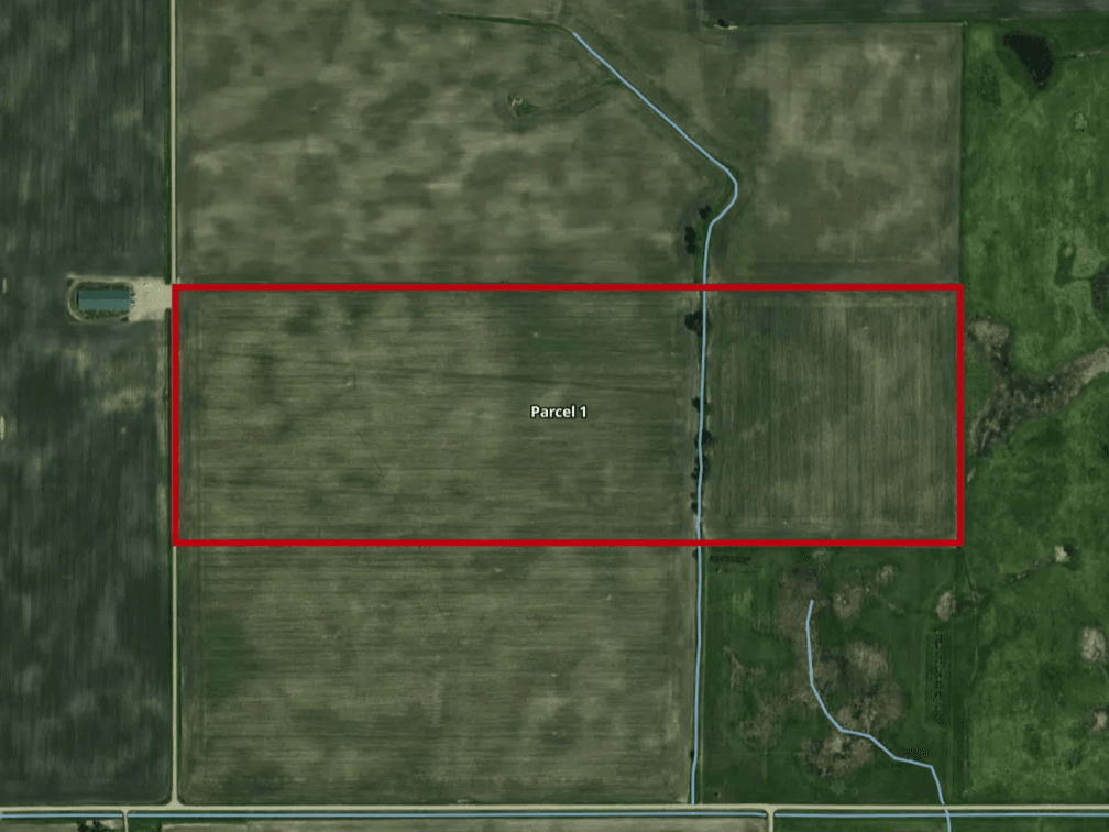 Parcel 1 - 120.38± Surveyed Acres, 115.86± FSA Tillable Acres, CPI = 91.6, Government Lot 3 and the NE¼ of the SW¼ and the NW¼ of the SE¼ of Section 31, Township 125 North, Range 43 West, Pepperton Township, Stevens County, Minnesota.