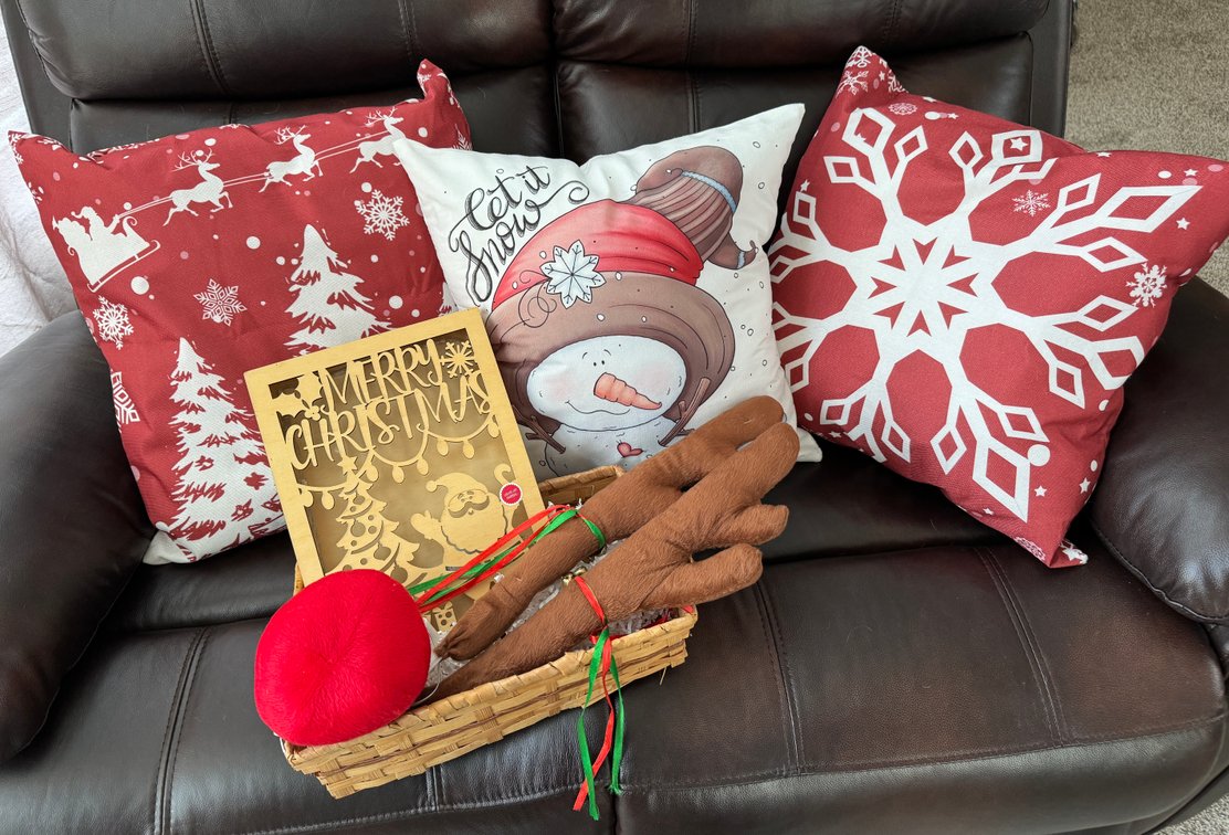 3 Canvas Christmas Pillows