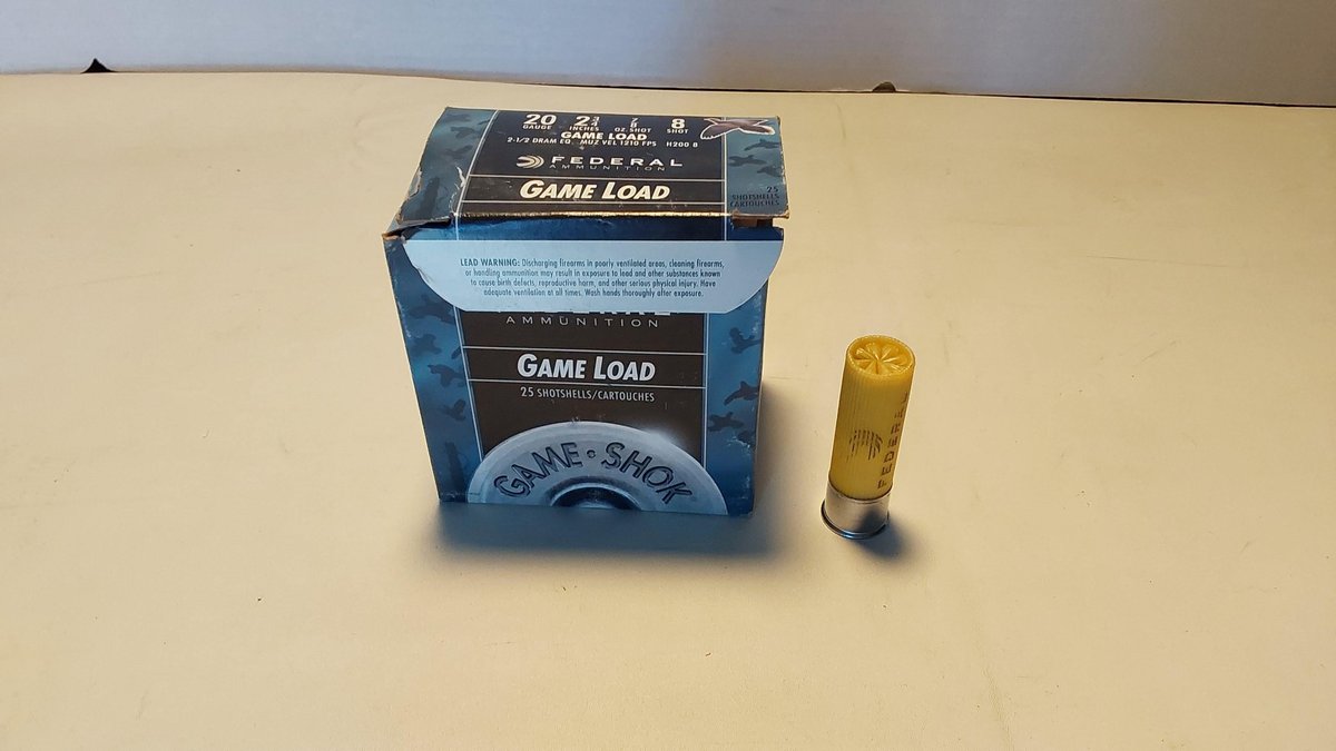 20 Gauge Shotgun Shells(1 Box)