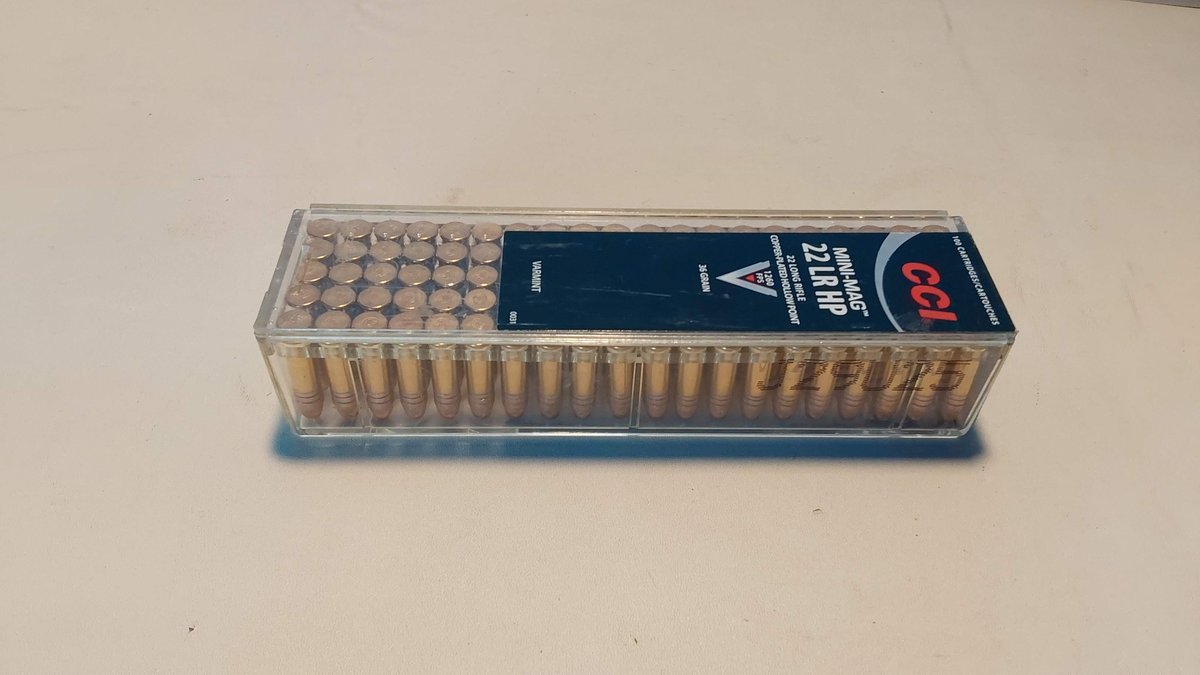 22 LR HP (100 Rounds)