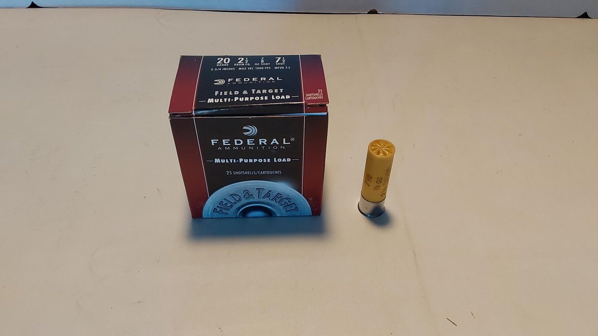 20 Gauge Shotgun Shells (1 Box)
