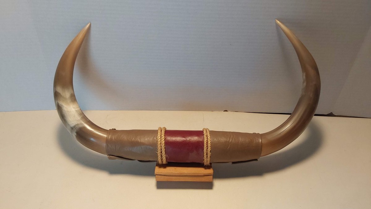 Steer Horns(Fake)