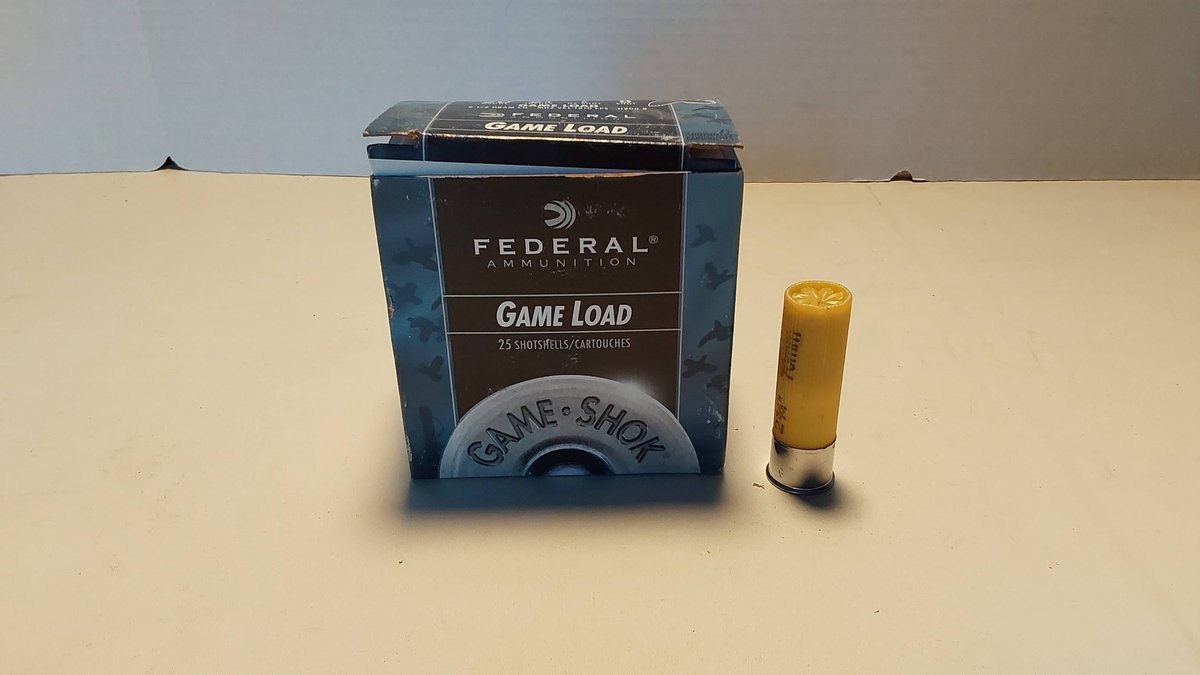 20 Gauge Shotgun Shells (1 Box)