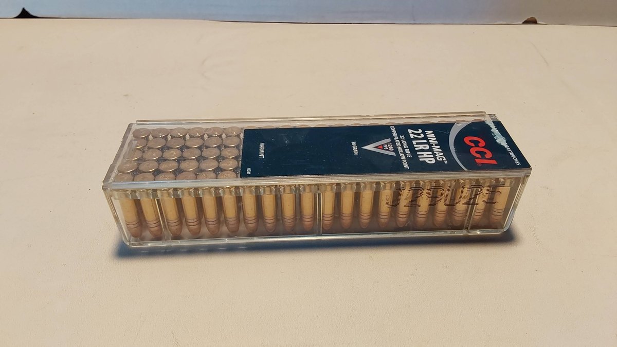 22 LR HP (100 Rounds)