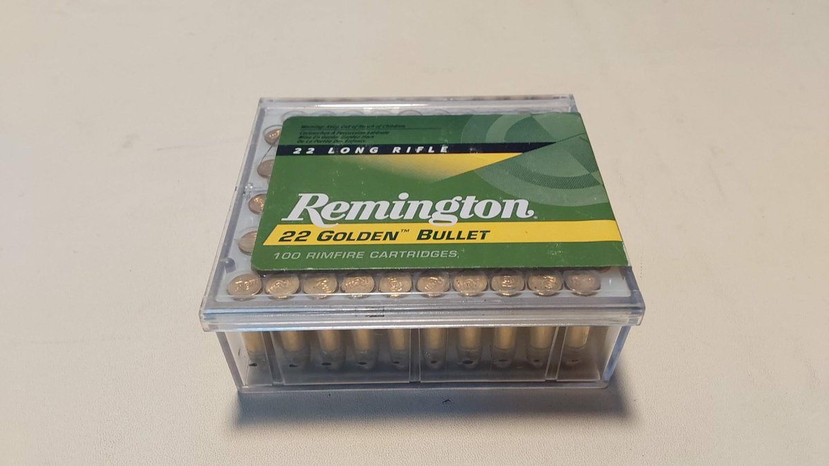 Remington 22 LR (100 Rounds)