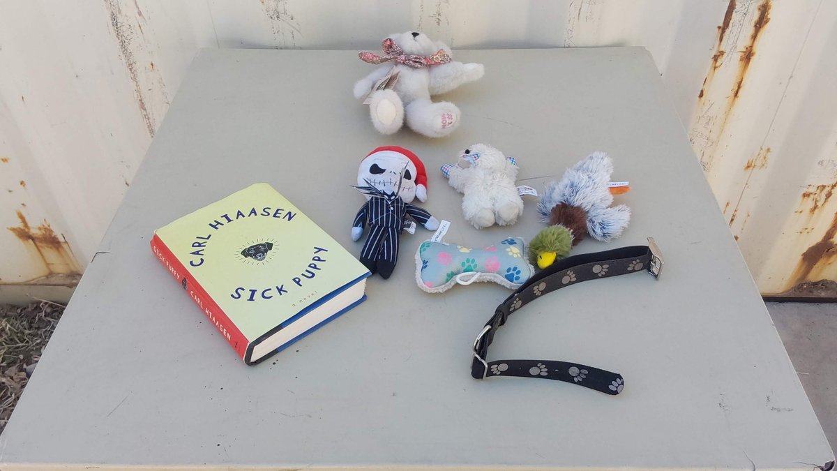 Book; Dog Toys; Collar; Boyd's Bear