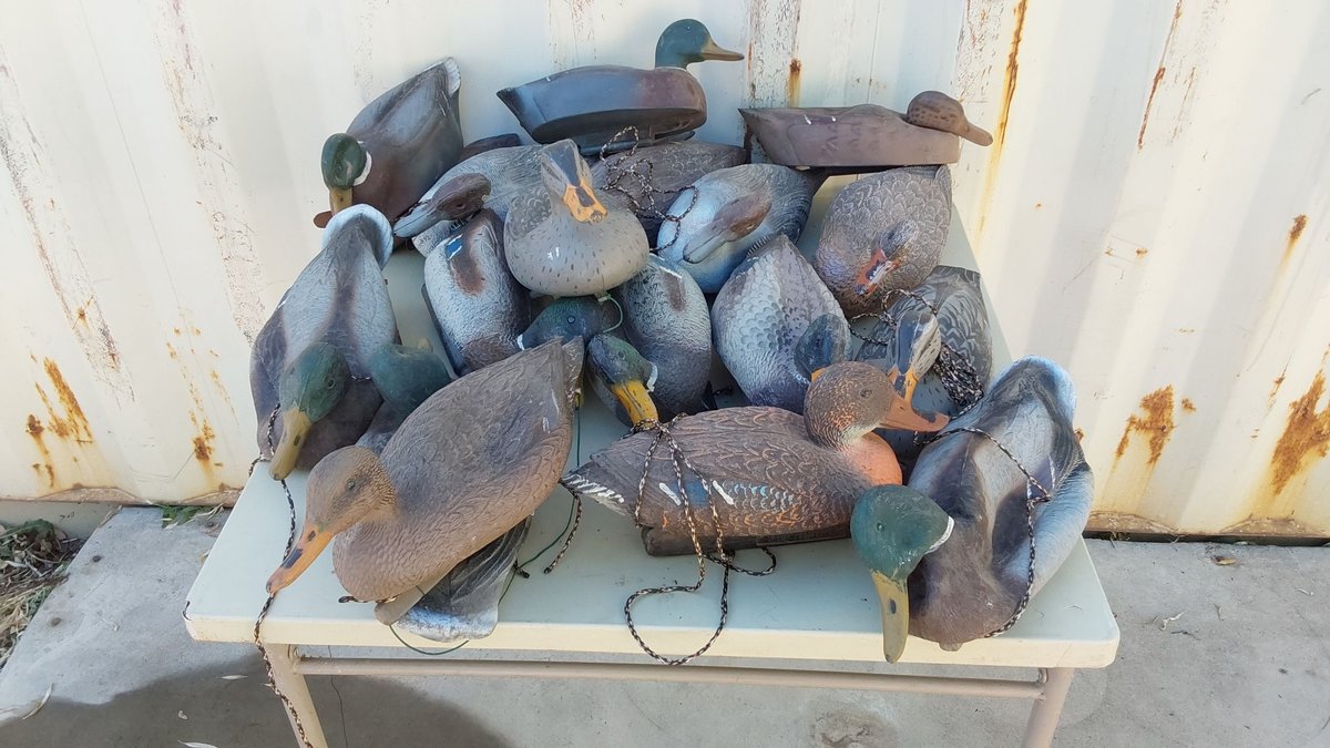 (8) Inflatable Duck Decoys; (10) Hard Decoys