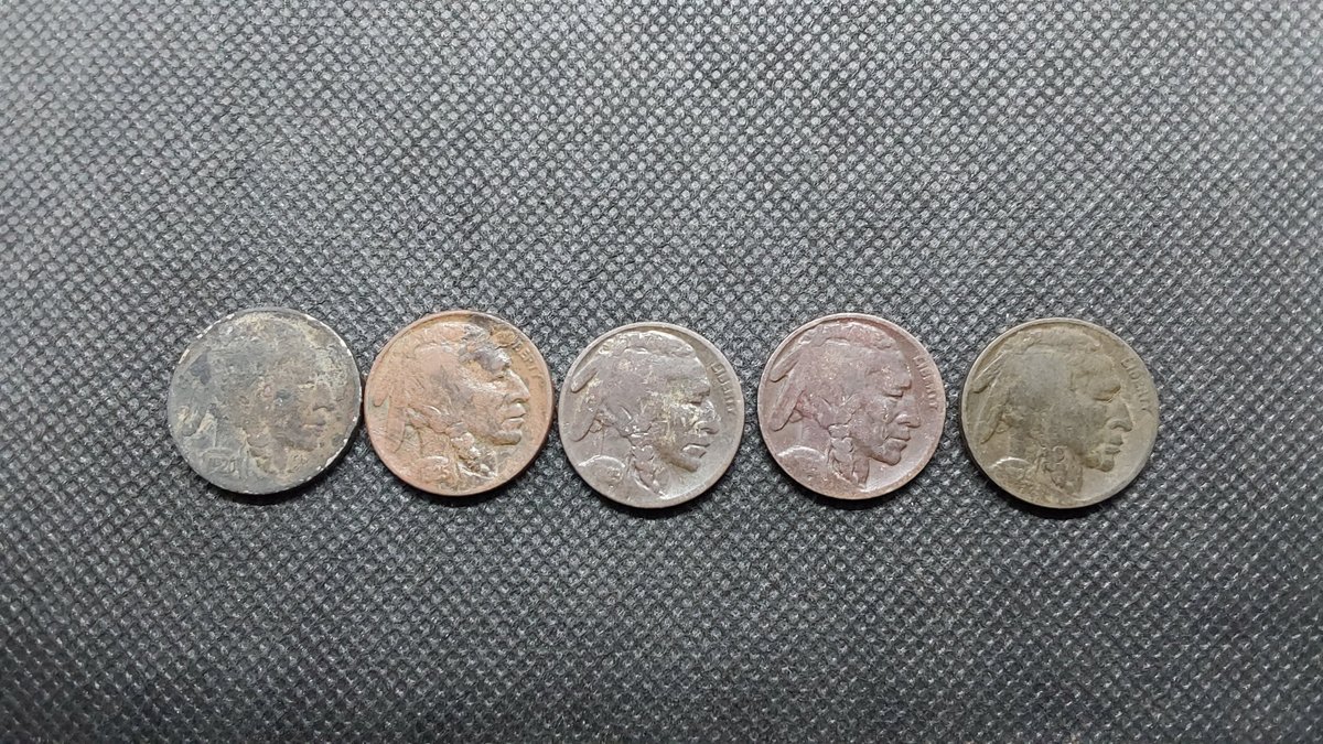 (5)Buffalo Nickels