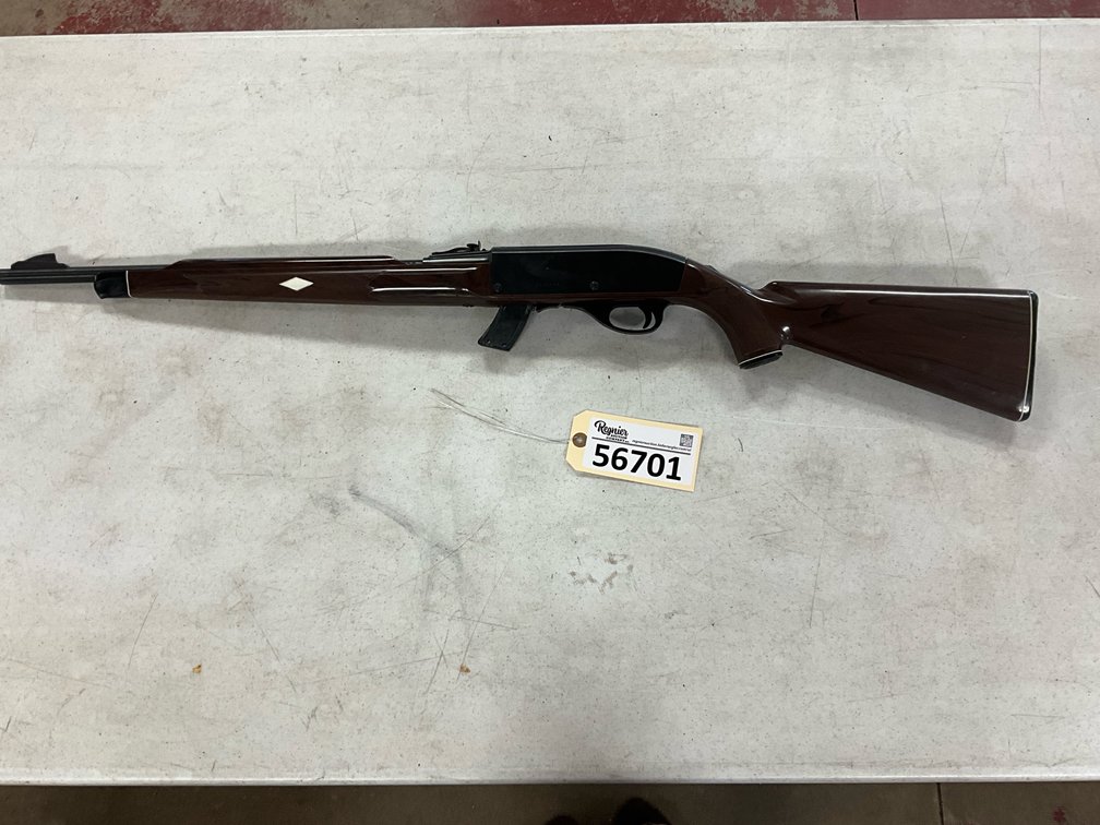 Remington 22 Long Rifle