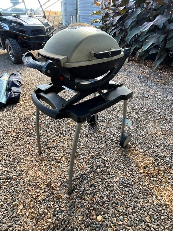 Weber Gas Grill