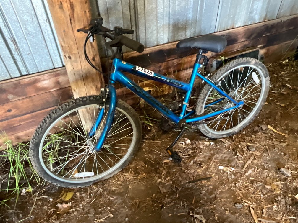 Roadmaster 24” 15 Speed Bike