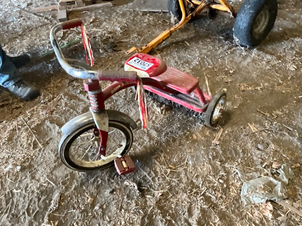 Radio Flyer Trike