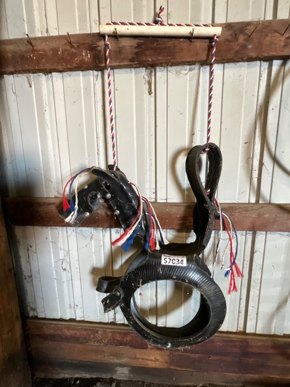 Horse Tire Swing