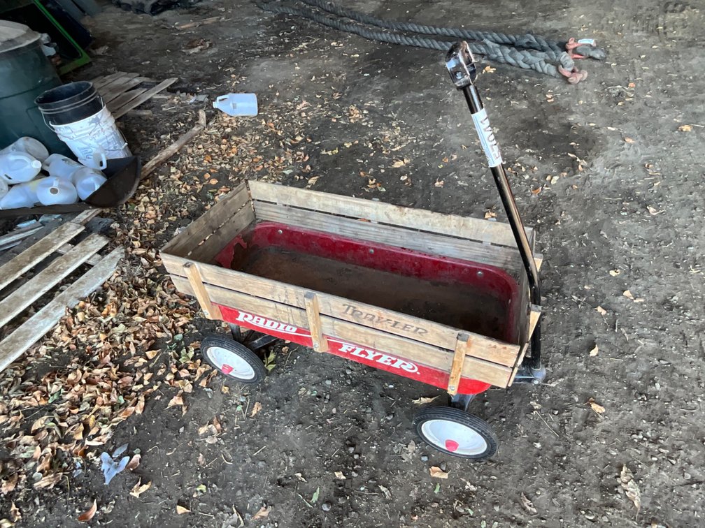 Radio Flyer Wagon