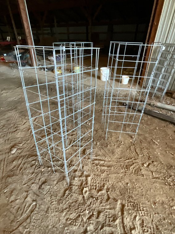 (3) Tomato Cages