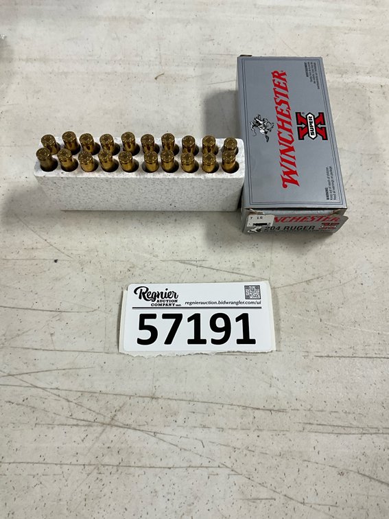 204 Ruger 34gr Ammo