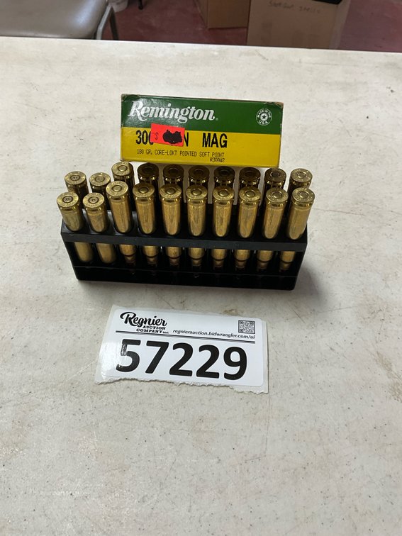 Remington 300 Win Mag180gr