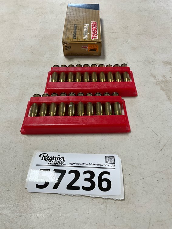 243 Win 60gr