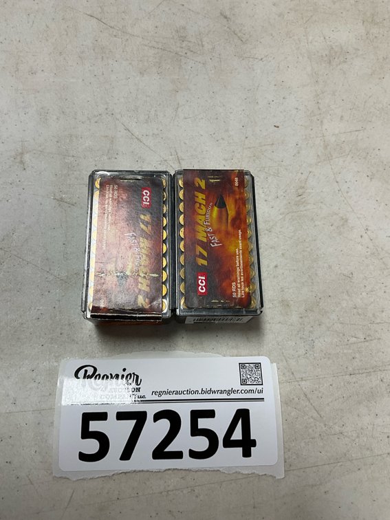 100rds 17 Mach 2