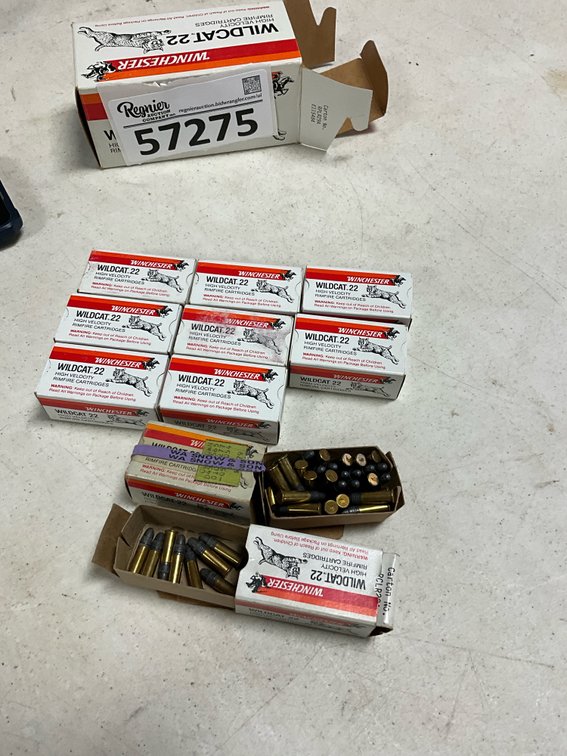 Winchester Wildcat 22 High Velocity ~450 rounds