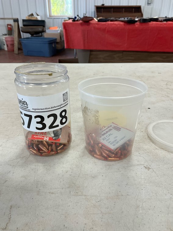 22cal Bullets