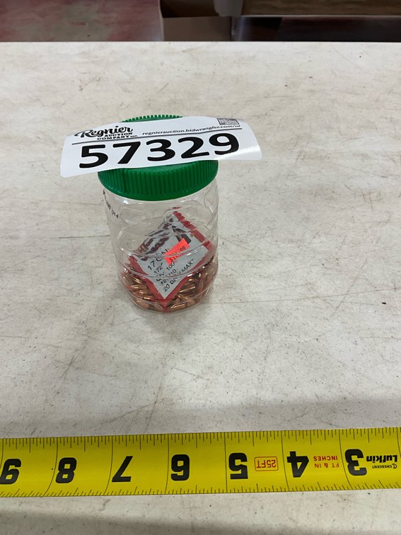 17 Cal Bullets