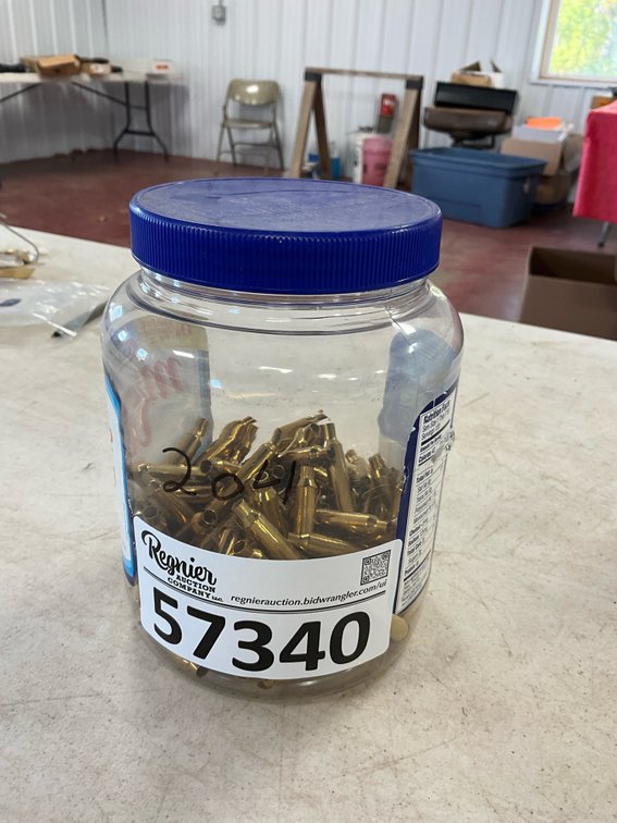 204 Winchester Ruger Brass