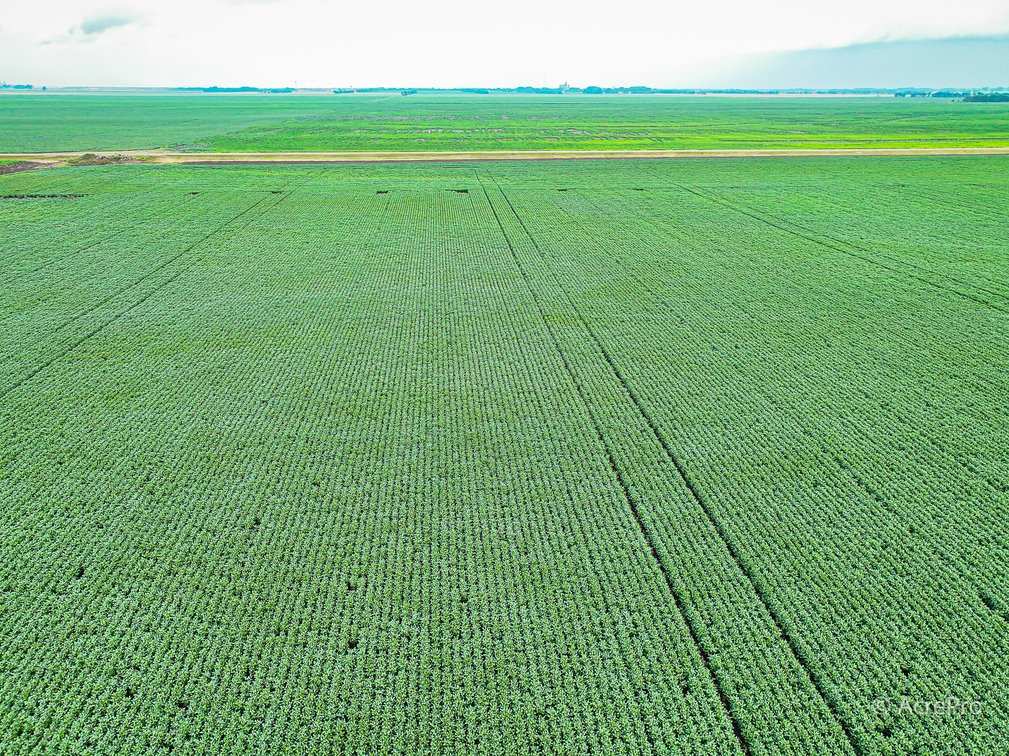 Tract 4 - 160± Acres in Pembina County, ND
